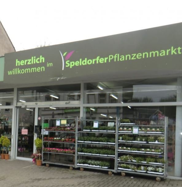 2024 | © Speldorfer Pflanzenmarkt